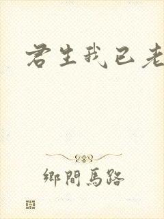 君生我已老全诗