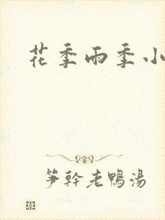 花季雨季小说封面