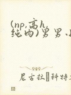 (np,高h,纯肉)男男小说