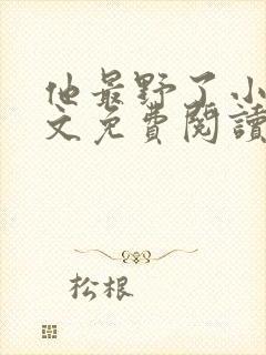 他最野了小说全文免费阅读