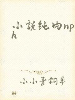 小说纯肉np高h封面