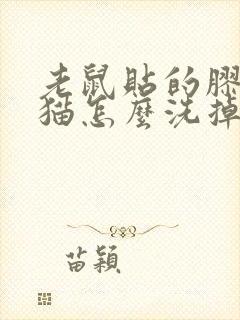 老鼠贴的胶粘到猫怎么洗掉