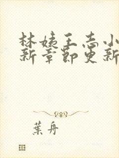 林姨王志小说最新章节更新免费阅读