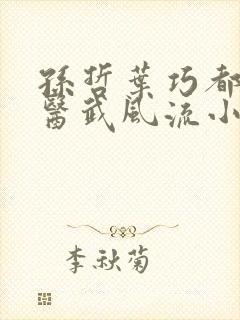 孙哲叶巧都市之医武风流小说封面