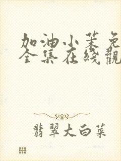 加油小茉免费看全集在线观看封面