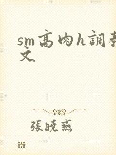 sm高肉h调教文