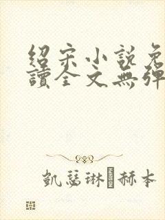 绍宋小说免费阅读全文无弹窗