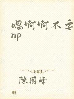 嗯啊啊不要高hnp封面
