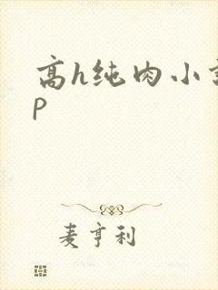 高h纯肉小说np