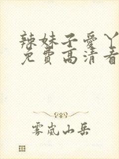 辣妹子爱丫爱丫免费高清看电视剧封面