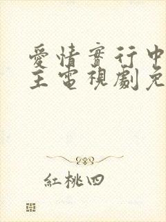 爱情实行中双男主电视剧免费观看