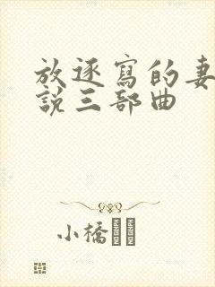 放逐写的妻子小说三部曲