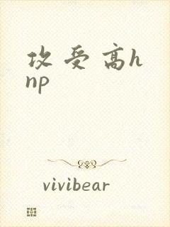 攻 受 高h np