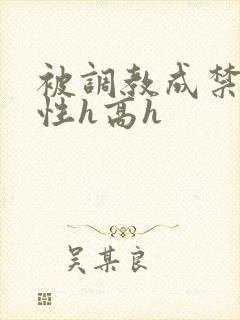 被调教成禁脔双性h高h