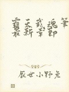 霸天武魂笔趣阁最新章节