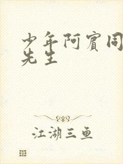 少年阿宾同人胡先生