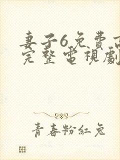 妻子6免费高清完整电视剧情