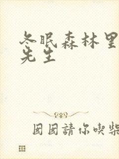 冬眠森林里的熊先生