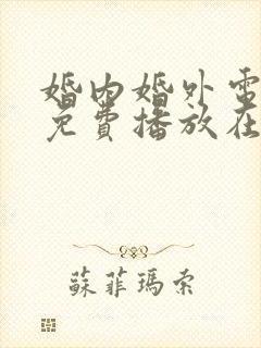 婚内婚外电视剧免费播放在线观看