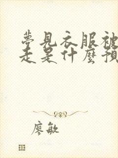 梦见衣服被人拿走是什么预兆封面