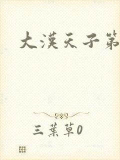 大汉天子第一部封面