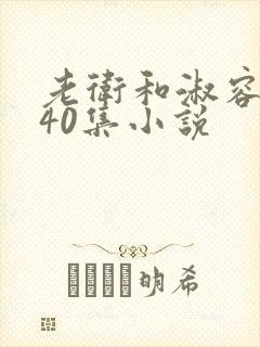 老卫和淑容1-40集小说