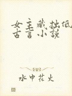 女主藏拙低调的古言小说封面
