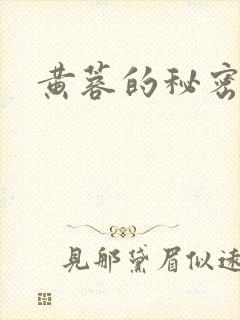 黄蓉的秘密封面