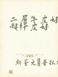 二层牛皮好还是超纤皮好