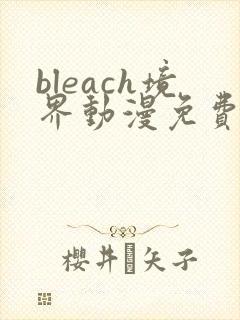 bleach境界动漫免费观看全集完整版高清封面