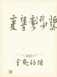 电视剧我怕来不及有多少集