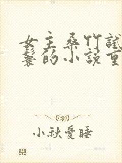 女主桑竹试房丫鬟的小说重生文