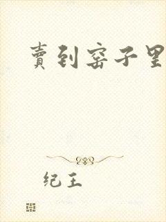 卖到窑子里np封面