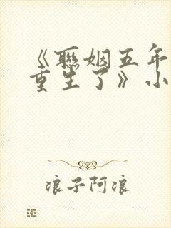 《联姻五年后她重生了》小说