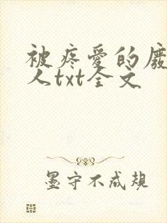 被疼爱的废物美人txt全文