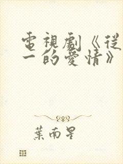 电视剧《从零到一的爱情》