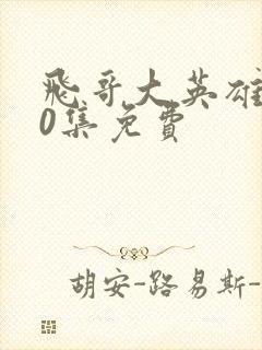 飞哥大英雄全40集免费