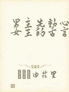 男主先动心苦追女主的古言封面