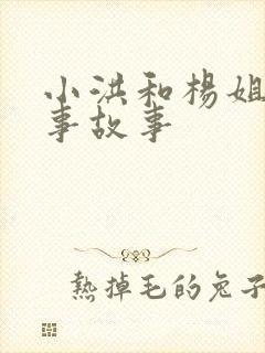 小洪和杨姐的故事故事封面