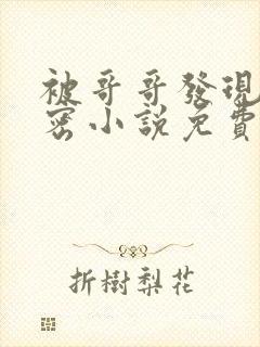 被哥哥发现的秘密小说免费阅读全文封面