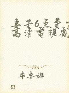 妻子6免费完整高清电视剧在线观看