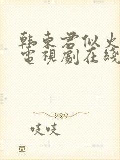 韩东君似火流年电视剧在线观看