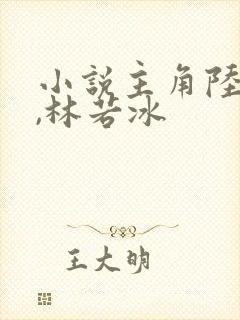 小说主角陆一鸣,林若冰