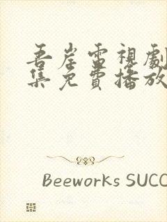 吾岸电视剧45集免费播放