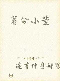 翁公小莹
