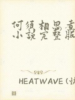 何须相思煮余年小说完整版