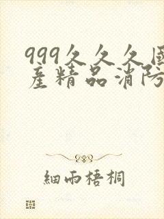 999久久久国产精品消防器材封面