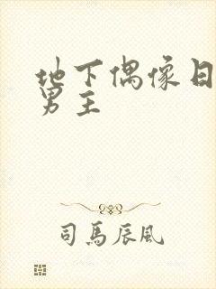 地下偶像日漫双男主