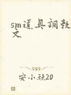 sm道具调教男文