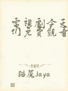 电视剧今天的她们免费观看全集高清封面